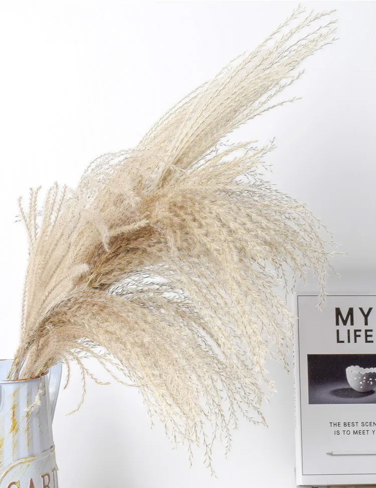 gGqUif2gxdSGFui75Mke1Hqk/ay+kAfvgGKX