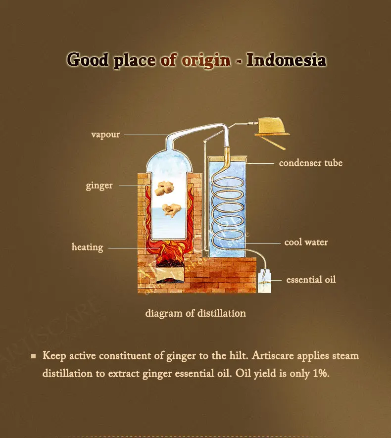 ginger-5