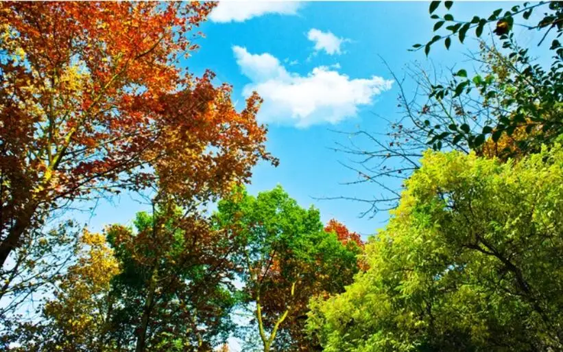 QQ截图20200627145928