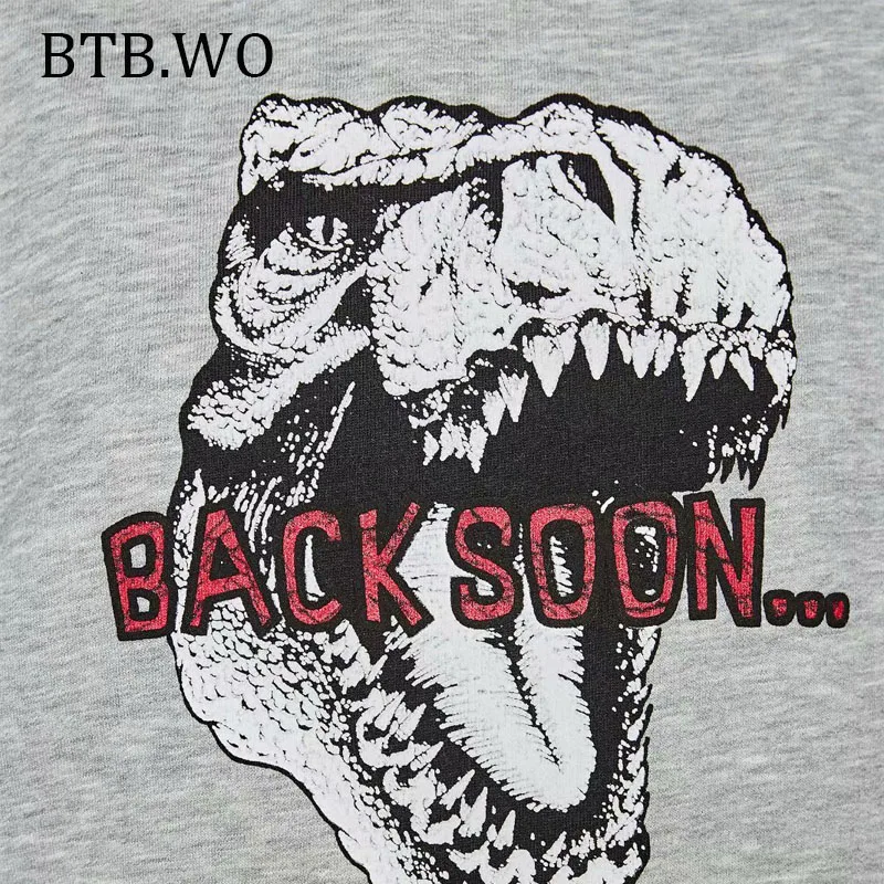 BTB. WO, женские топы, осенне-зимние Стильные повседневные пуловеры с длинным рукавом, теплые свитшоты с изображением динозавра, женские повседневные уличные Топы