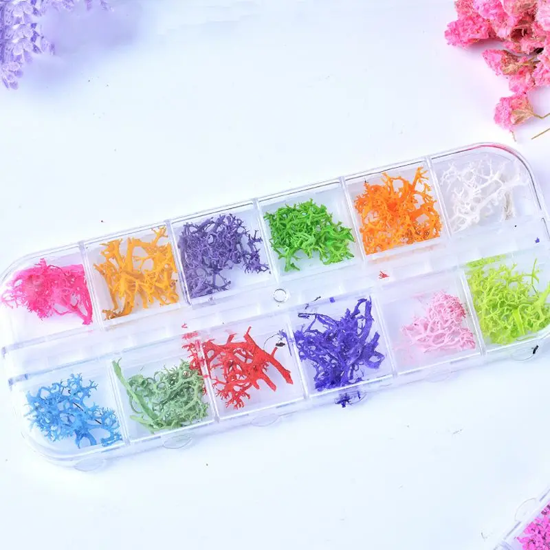 12 Colors Natural Coral Tree Pressed Dried Flower Nail Art Resin Jewelry Making T4MD