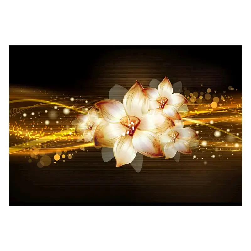

Diamond Painting Kit for Adult Full Drill Paint with Diamonds Pictures Arts Craft for Home Decor The Aurora