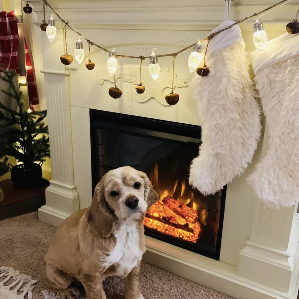 DZ227701-C-20102207-1