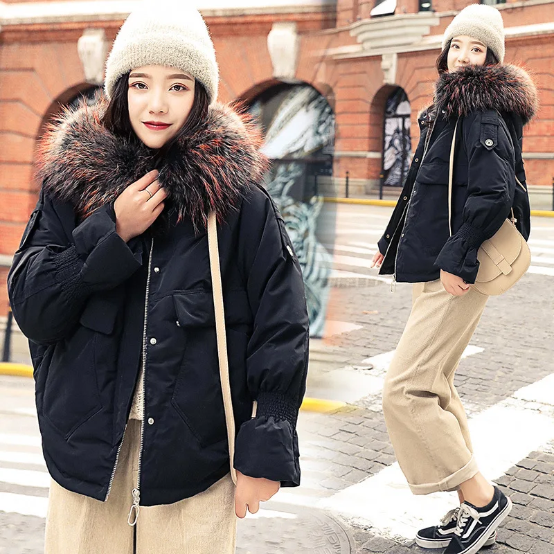

2019 Winter New Style Short-Style Slim Fit Hooded Trend Simple Versatile Cotton Coat Qxzyhc541-1