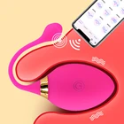 remote app vibrator