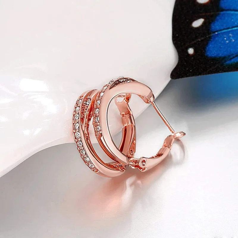 New 925 Sterling Silver Earrings Inlaid Zircon Earrings 14K Rose Gold For Women'S Charm Jewelry Gift