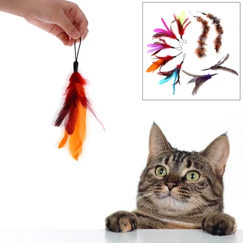 

New 9PCS Pet Cat Toy Luxury Colorful Natural Feather Pet Kitten Cat Teaser Replacement Refill Feather for Cat Rod Wand Pet Play