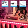 luces led,RGB 5050/SMD2835 cinta Flexible DIY tira de luz Led RGB cinta de diodo DC 12V app bluetooth ► Foto 3/6