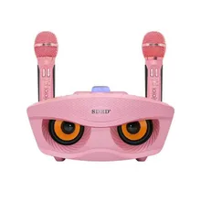 Орлиный глаз дизайн SD 306 Bluetooth караоке динамик с двумя беспроводными микрофоном стерео сабвуфер 3D стерео объемный звук