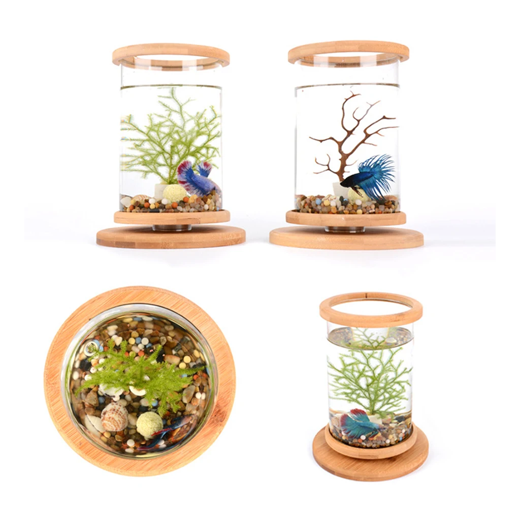 Rotatable Bamboo Stand & Glass Fish Office Desktop Decor Small Fish Cylinder Terrarium for Goldfish Betta - AliExpress