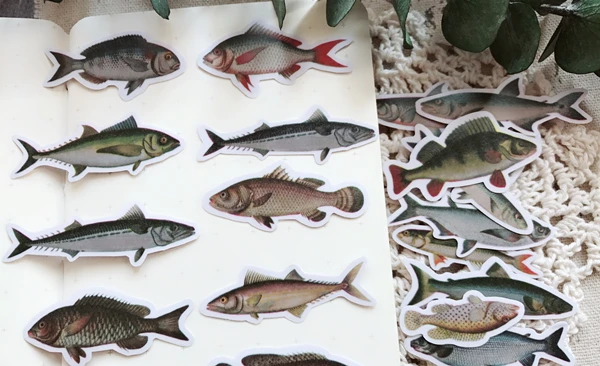 20 шт морской рыбы, образец рыбы, красочные декоративные наклейки для Diy Ablum дневник книги Bullet Journal sticker канцелярские товары