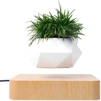 

netic Levitation Plant Planter Succulent Pots Plant Desk Ornaments Home Decor Air Levitation Bonsai Pot US Plug
