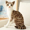 20-45CM Cute Simulation Cats Plush Toys Stuffed Animal Siamese Cat Doll for Children Kids Real life Toy Home Decor Birthday Gift ► Photo 2/6