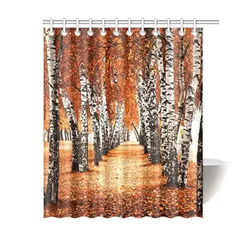 

Autumn Birch Tree Forest Waterproof Fabric Shower Curtain Set for Bathroom with Hooks, 60(Wide) x 72(Height) Inches