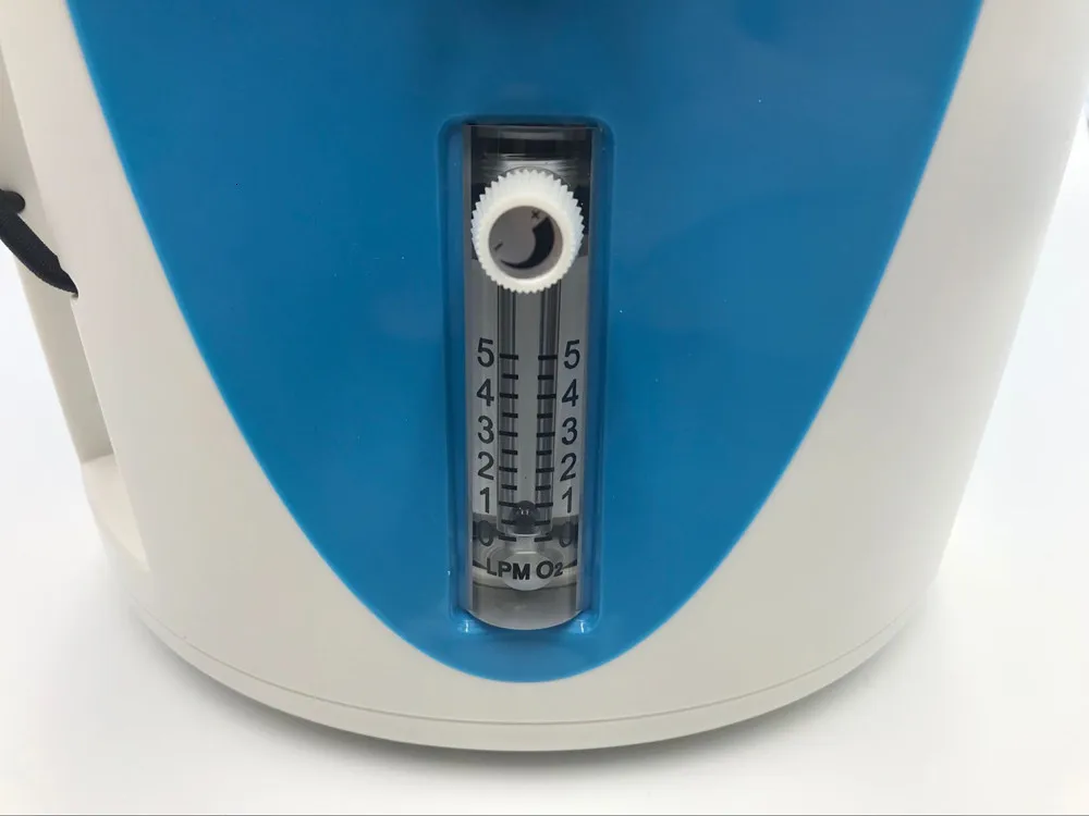 5L концентратор кислорода омоложение кожи красота CE одобренный PSA O2 генератор для непрерывной подачи кислорода генератор кислорода