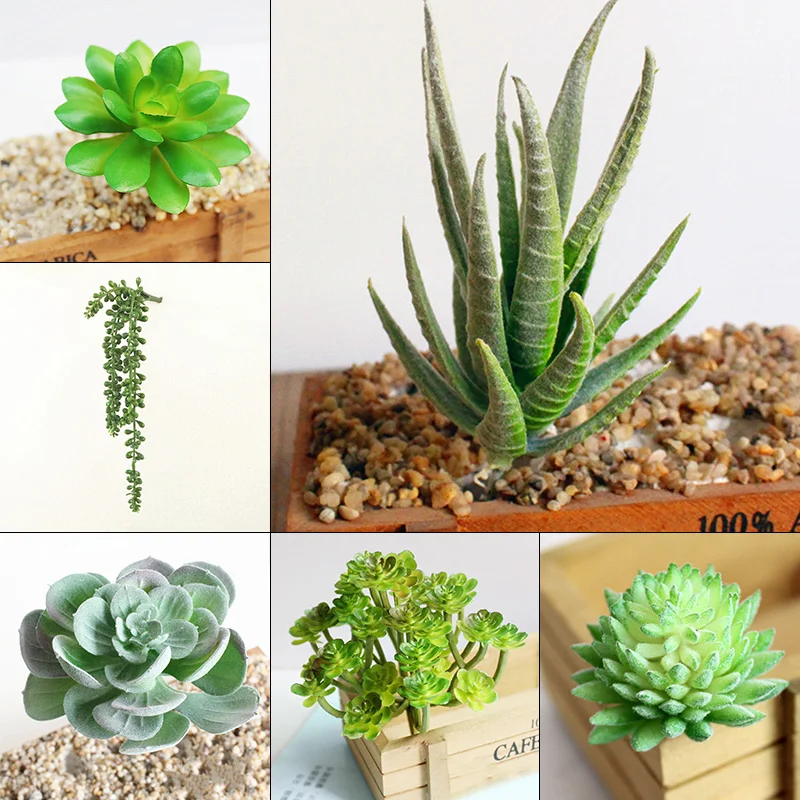 6 шт./компл. Unpotted Искусственные суккуленты Ассорти искусственный украшения из растений "сделай сам"