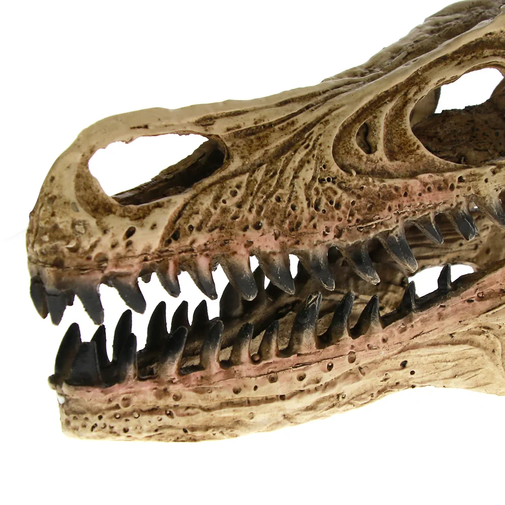 Высокоточная обучающая модель искусственная Velociraptor ископаемая смола Череп