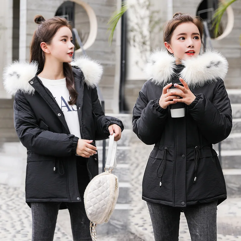 

Cotton-padded Clothes Fur Collar Short Slimming Drawstring Slim Fit Warm Thick Cotton Coat Solid Color 2019 Winter WOMEN'S Dress