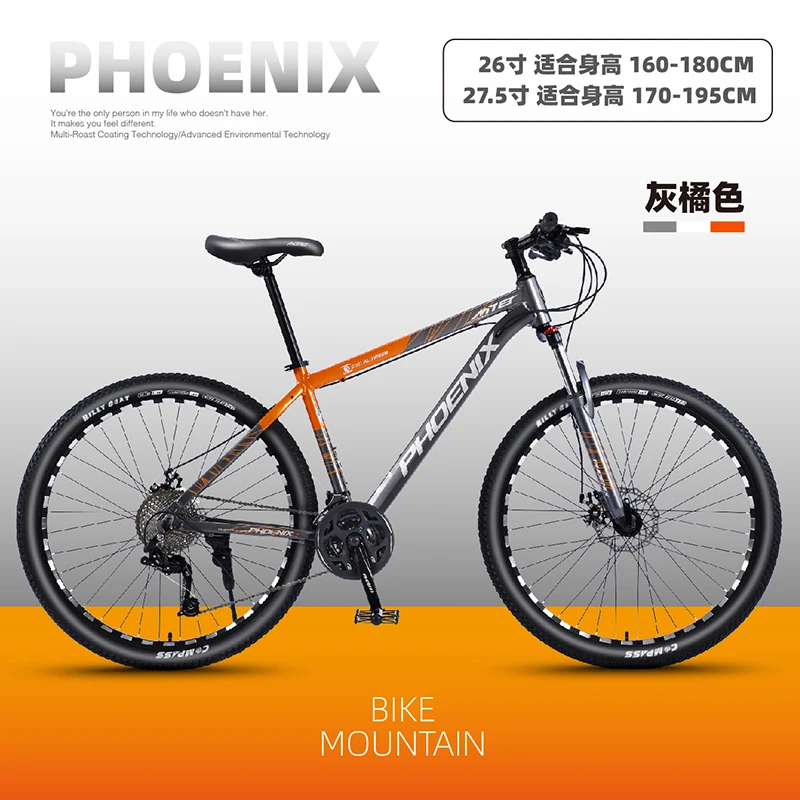 Mountain Bike Carbon Steel Frame 