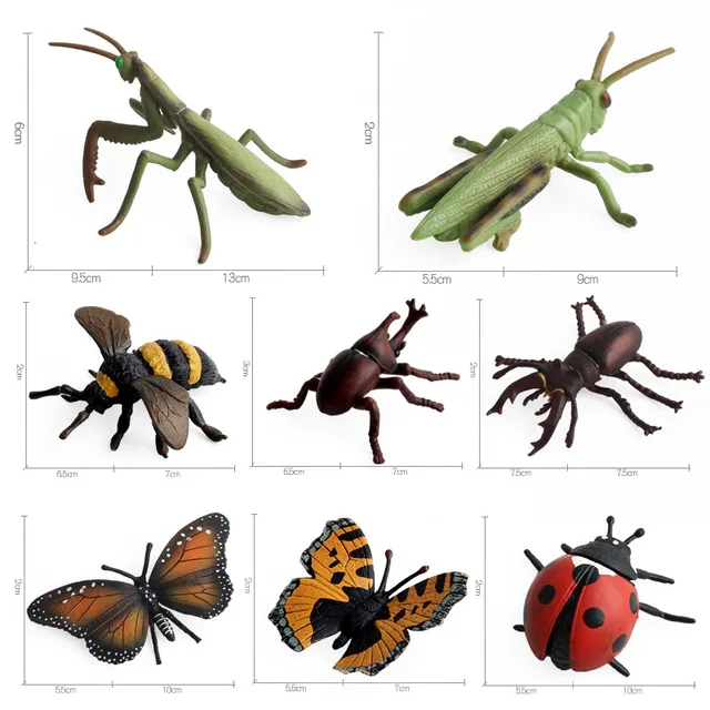 8 Types Realistic Insects Figures Lifelike Animal Figurines Toys Children'S Early Educational Learning Insect Cognitive Toy Gift 4
