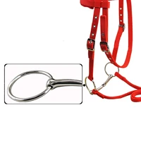 Horse Riding