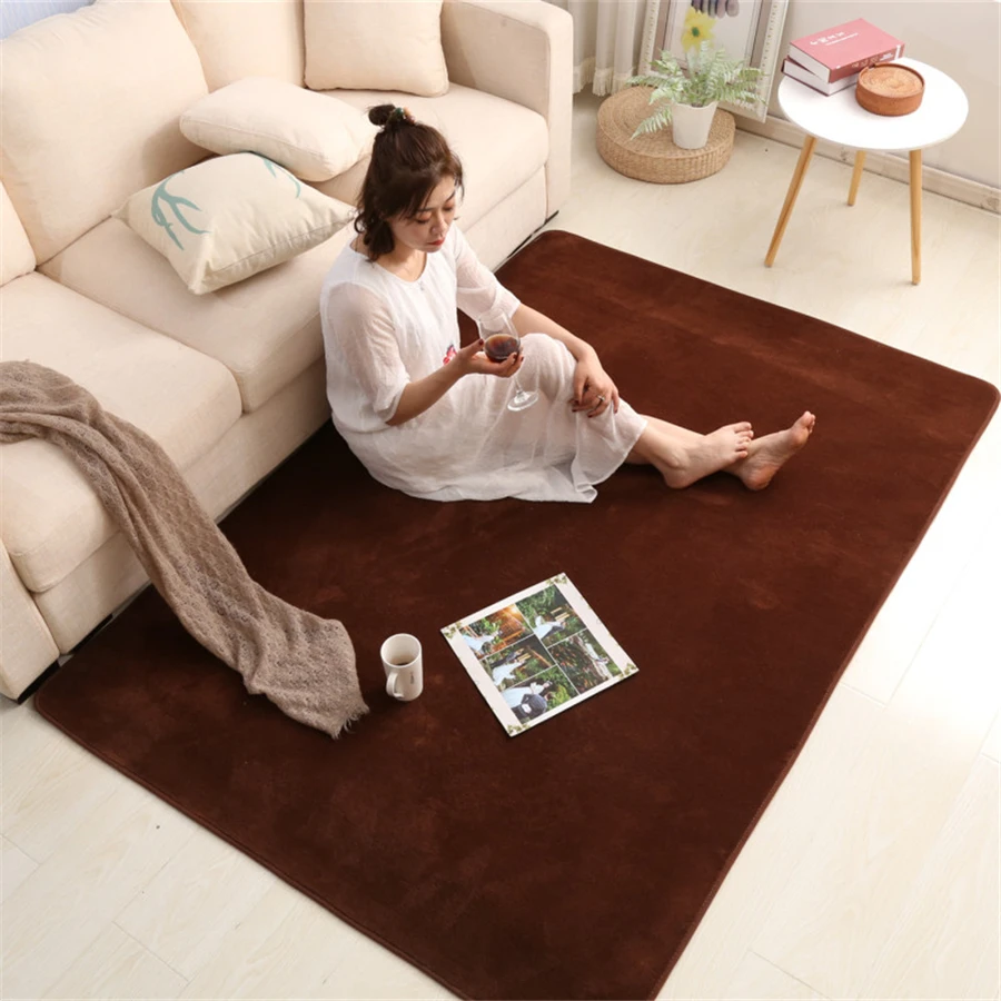 Living Room Coral Fleece Carpet Sofa Coffee Table Rugs Kid's Bedroom Non-slip Soundproof Balcony Bay Window Mat