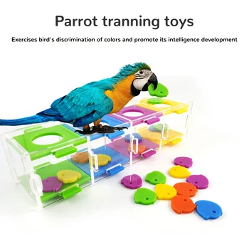 

Pet Parrot Bird Puzzle Toy Parrots Interactive Training Toys Intelligence Development Educational Toys For Birds Bird Supplies