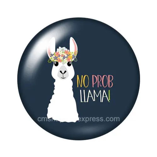 DB1044-07 No prob llama no drama llama Альпака 18 мм кнопки 10 шт. смешанный круглый стеклянный кабошон стиль для украшение с защелкой - Цвет: DB1044-07