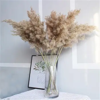 

10/20pcs Dried Pampas Grass Decor Wedding Flower Dried Reeds Bunch Natural Plants Decor