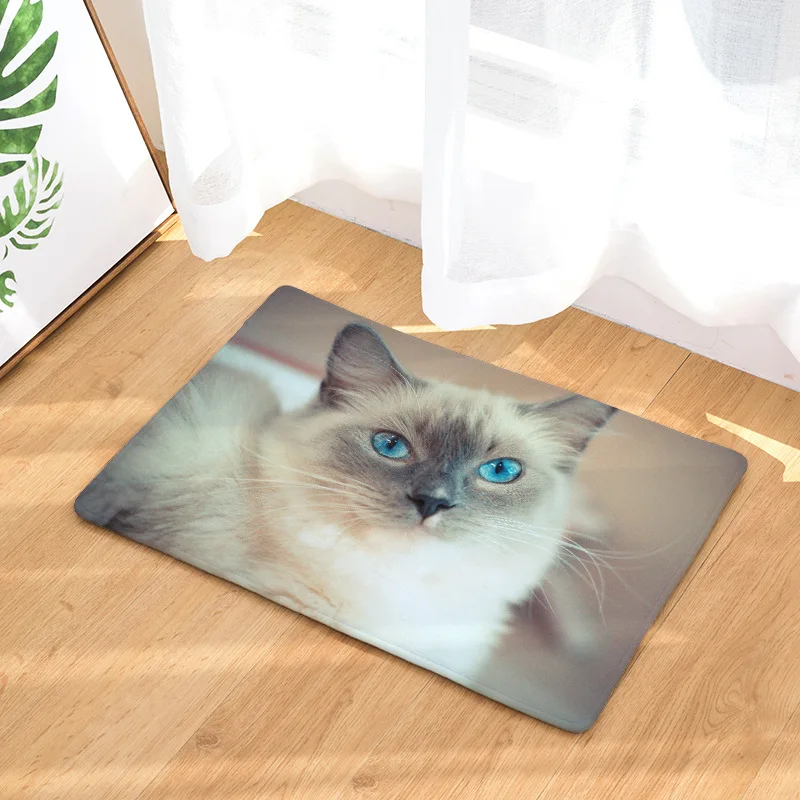 

Entrace Front Door Mat Outdoor Rug Modern Cute Cat Rubber Doormat Welcome Home Bathroom Kitchen Floor Non Slip Dust