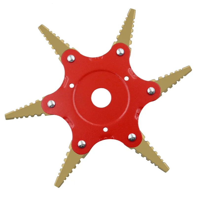 12157538293_1185384007