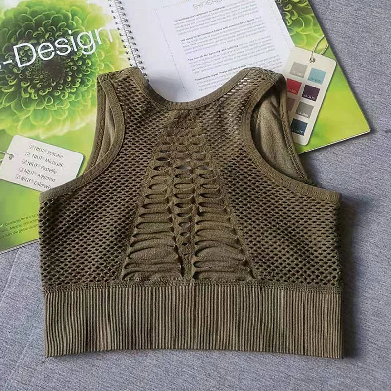 11878420015_772503665