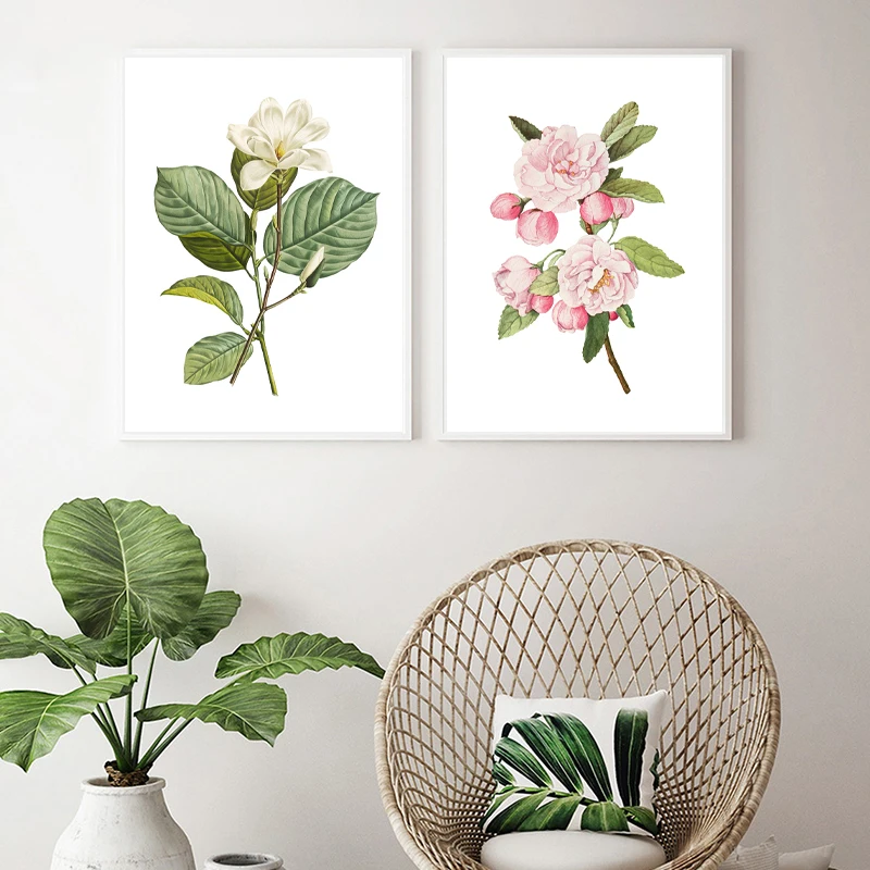 Póster de flores blancas, Magnolia, Yulan, flores rosas, cangrejo, manzana,  botánico, imágenes artísticas de pared, plantas florales, pintura en  lienzo, decoración|Pintura y caligrafía| - AliExpress