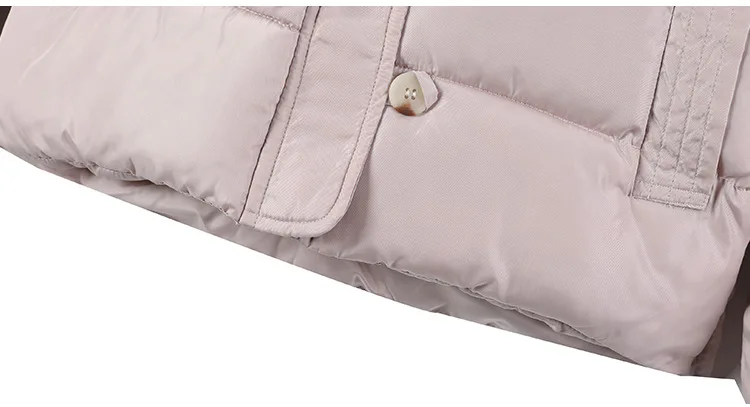 Женская одежда с хлопковой подкладкой,, корейский стиль, BF AliExpress, женское платье, Европа и Америка, хлопковое пальто, женская куртка