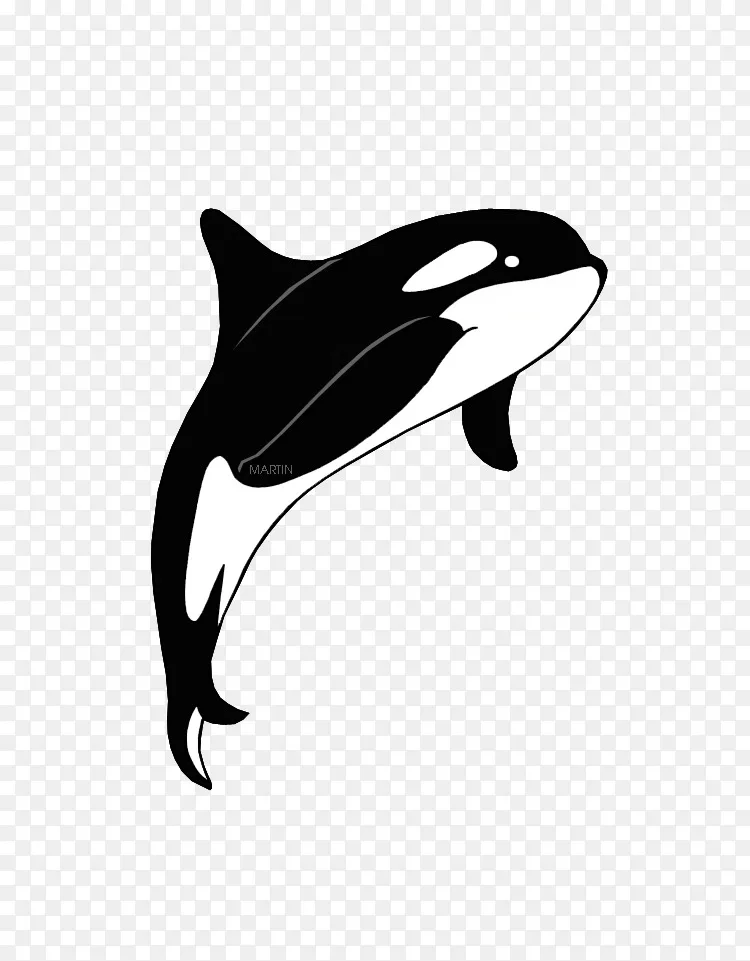 剪贴画虎鲸,虎鲸图片-虎鲸png图片素材免费下载_图片编号5607441-png