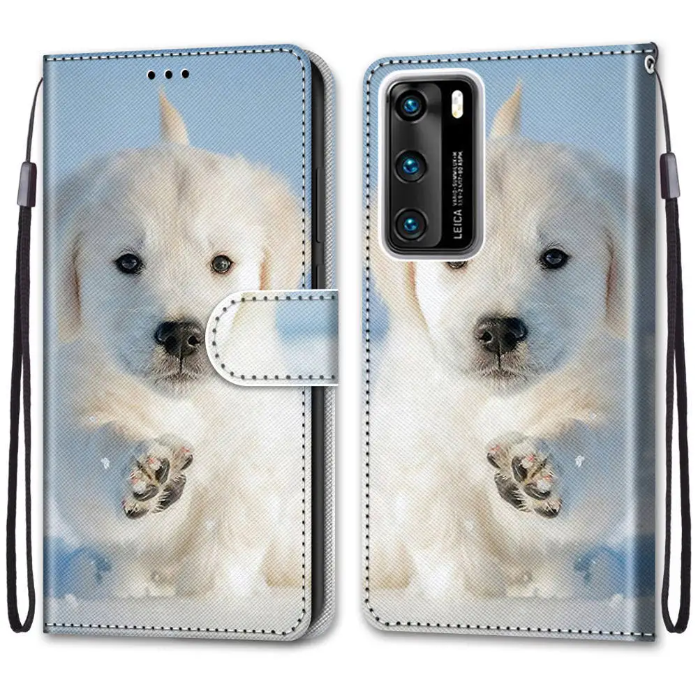 华为 P40 #A17雪地小狗 -01.jpg_.webp