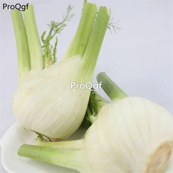 

Ngryise 6000Pcs A Set Foeniculum vulgare