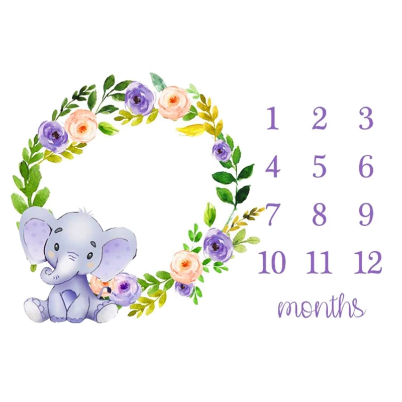 personalized baby monthly milestone blanket