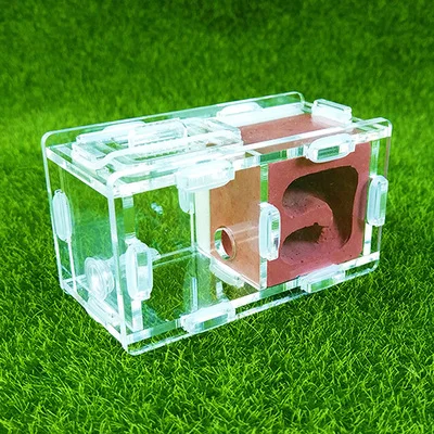 mini ants nest ant farm acrylic&gypsum for young queens and small colonies ants house ant home