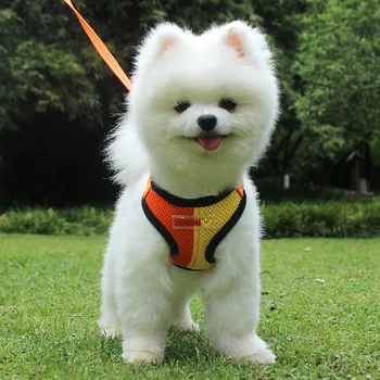 

Ocardian dog leashes Chest strap Adjustable Color Matching Vest Easy Control For Small Medium Large Dogs cat Pet drop ship 2020