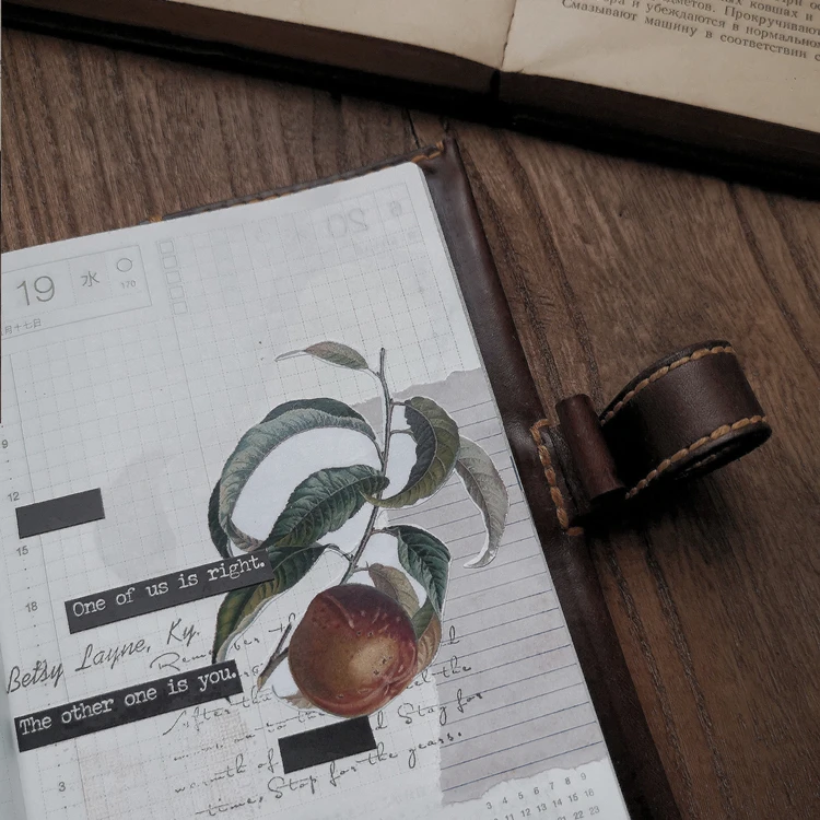9Pcs/Pack Retro Fruit Leaves Sticker DIY Craft Scrapbooking Album Junk Journal Planner Decorative Stickers