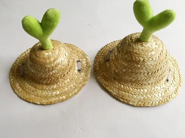 Pet sunshade hat pet straw hat pet headdress dog hat pet hat cat hat