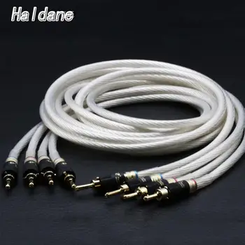 

Haldane Pair HIFI 5N Single Crystal Silver Speaker Cable Wires Audiophile Speaker Loudspeaker Cable with Pailccs Banana Plugs
