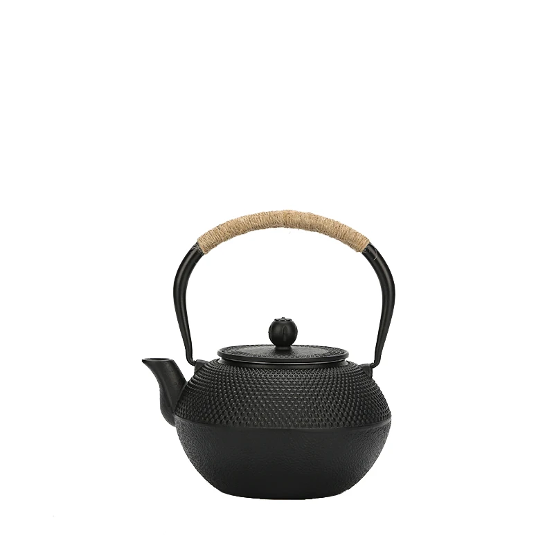 Alipis Hervidor de té de hierro, tetera pequeña de hierro fundido con  infusor de acero inoxidable para hervir agua caliente, tetera para estufa,  2.83