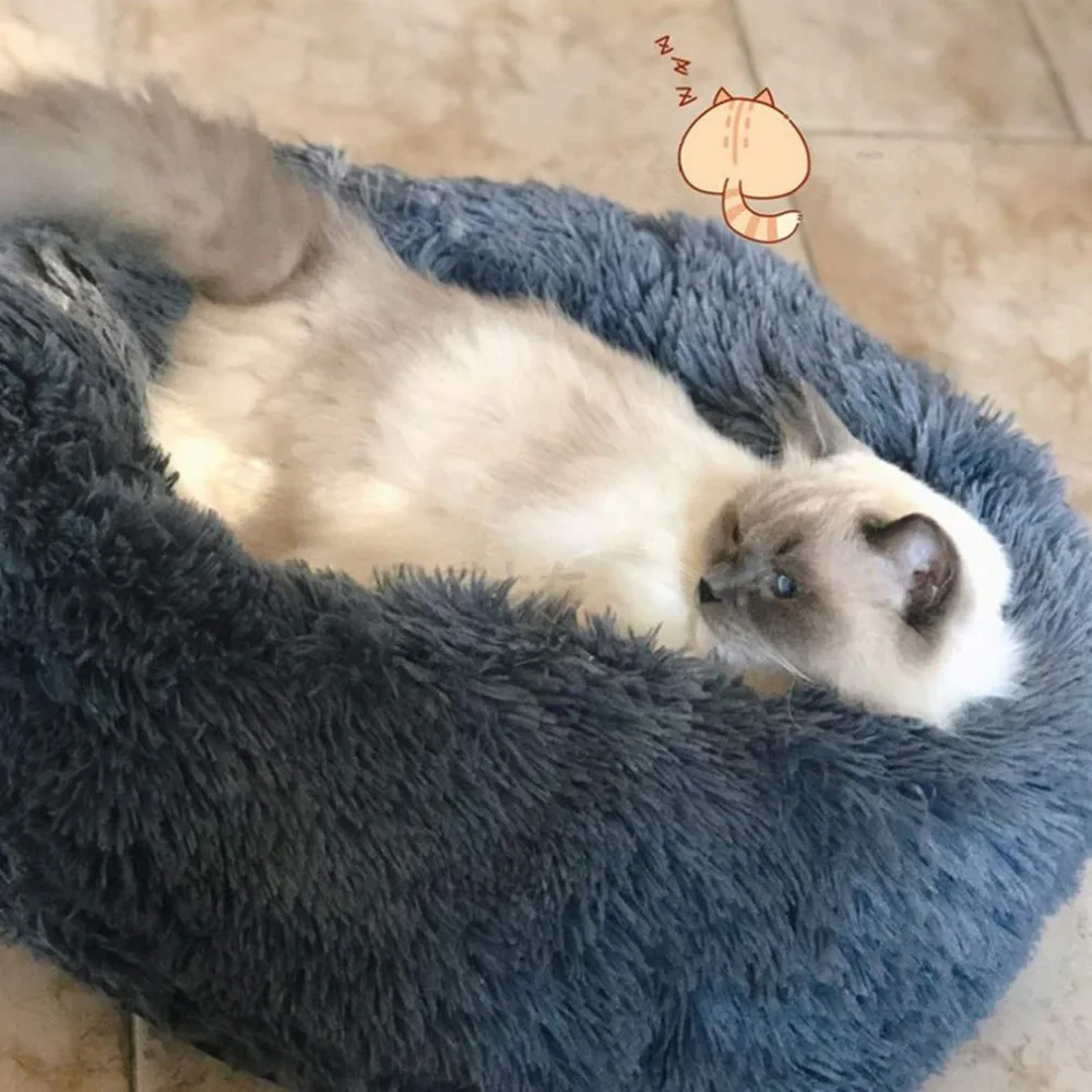 CP234007-C-2020100606-1