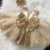 2021 Лето Блесток Большой Лук Baby Girl Dress 1st Birthday Party Свадебное Платье Для Девочки Дворец Принцесса Вечерние Платья Детская Одежда