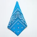 Sky blue Bandana