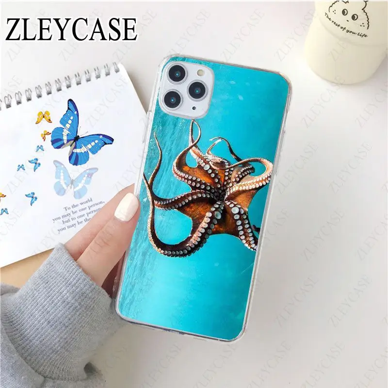 Tentacles of sea octopus