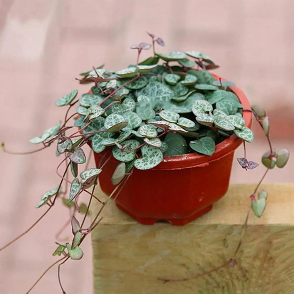 Flower Pot Flower Basket Reusable Heighten Plastic Lightweight Hanging Planter Outdoor Decor Pot