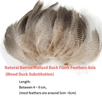 Natural Barred Mallard Duck Flank Feathers 50PCS/Bag 2